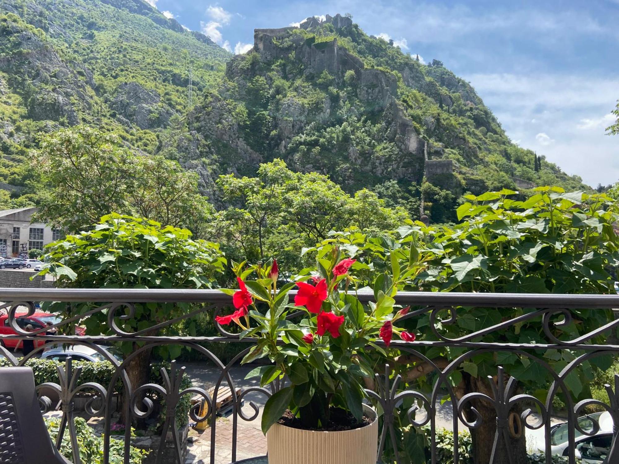 Fiumera Kotor Apartment ภายนอก รูปภาพ